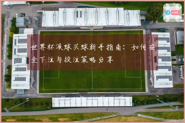 世界杯滚球买球新手指南：如何安全下注与投注策略分享