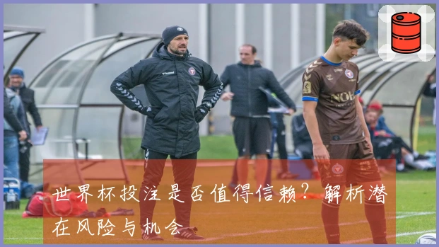 世界杯投注是否值得信赖？解析潜在风险与机会